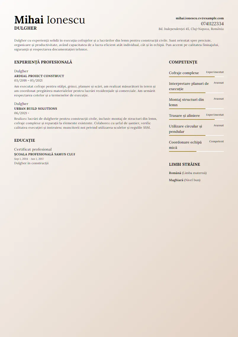 Exemplu CV Dulgher - Mihai Ionescu