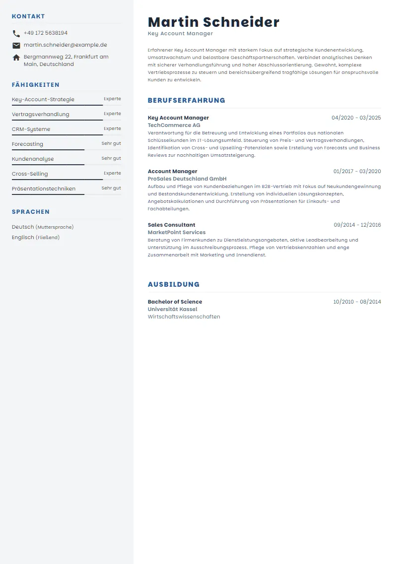 Lebenslauf Beispiel Key Account Manager - Martin Schneider