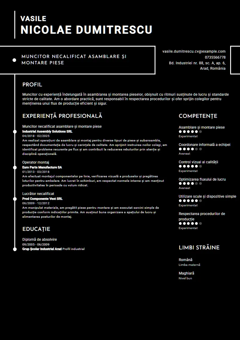 Exemplu CV Muncitor necalificat asamblare și montare piese - Vasile Nicolae Dumitrescu