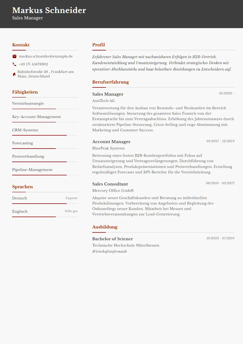 Lebenslauf Beispiel Sales Manager - Markus Schneider